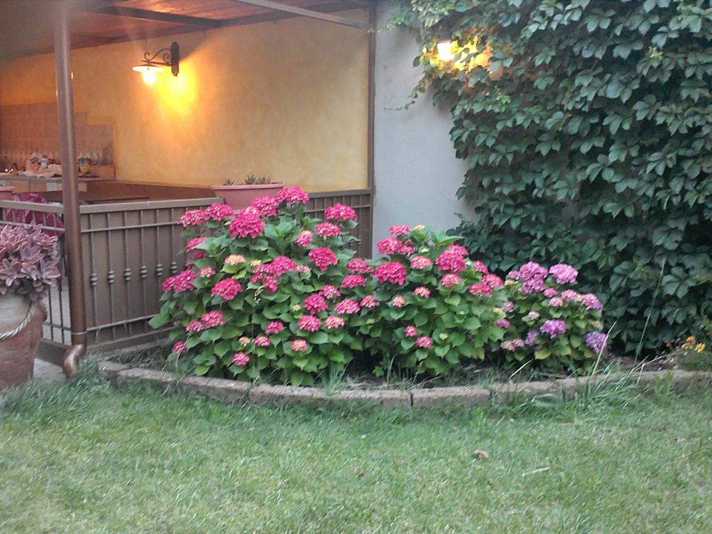 Case Vacanza Villa Doria Valledoria  Zimmer foto